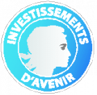 http://www.medecinesciences-strasbourg.fr/wp-content/uploads/2016/12/Investissement_Avenir-e1483009937777.png